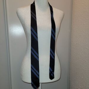 Elegant Black and Blue Striped Men's Tie